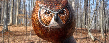 Flying Owl in Red Oak