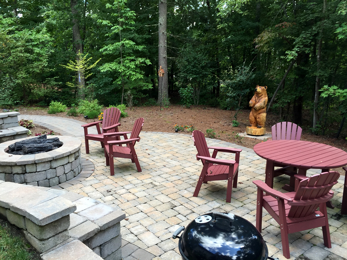 Brown Bear at the Fire Pit